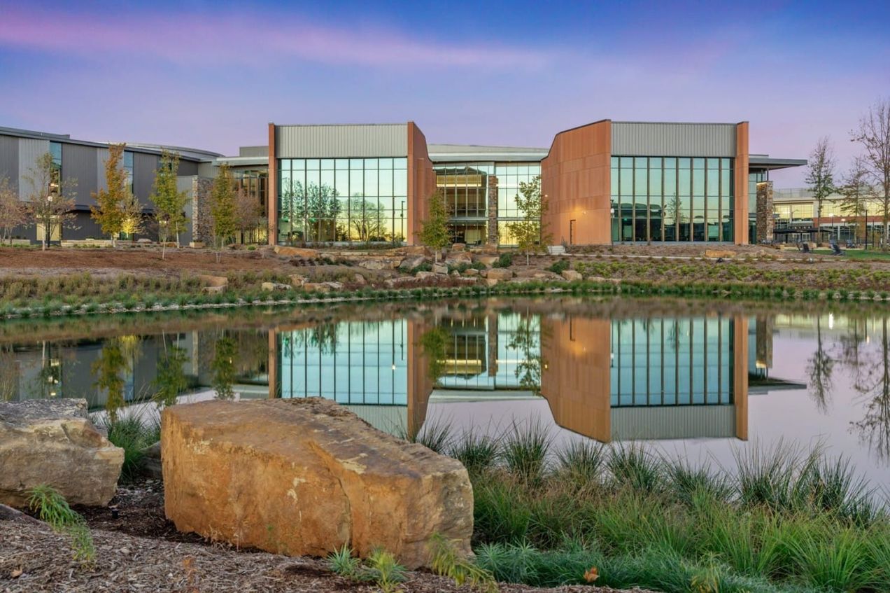 Sunday Brunch: Can timber deliver what other carbon capture technologies cannot?