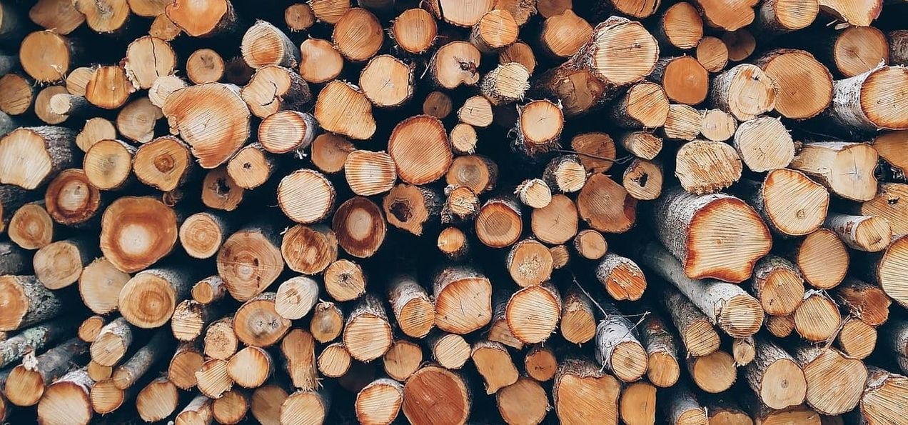 Sunday Brunch: Is timber our building secret weapon ?