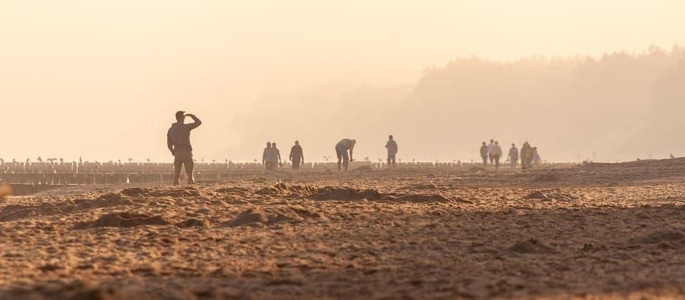 Sunday Brunch: heat stress is a major agriculture investor issue