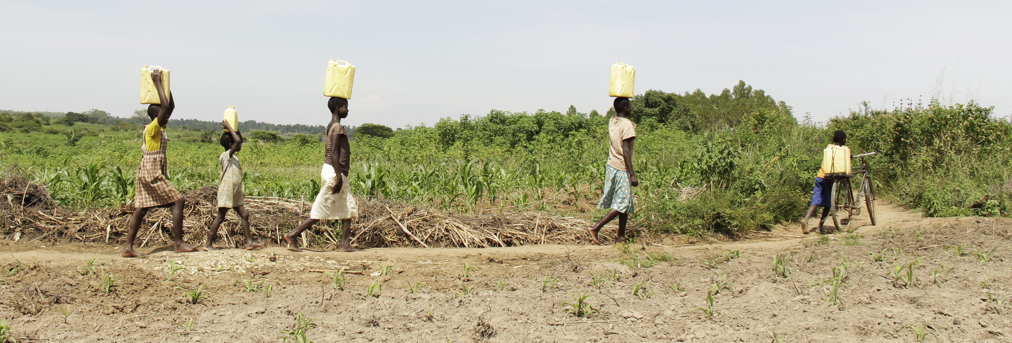 An underground solution to drought?