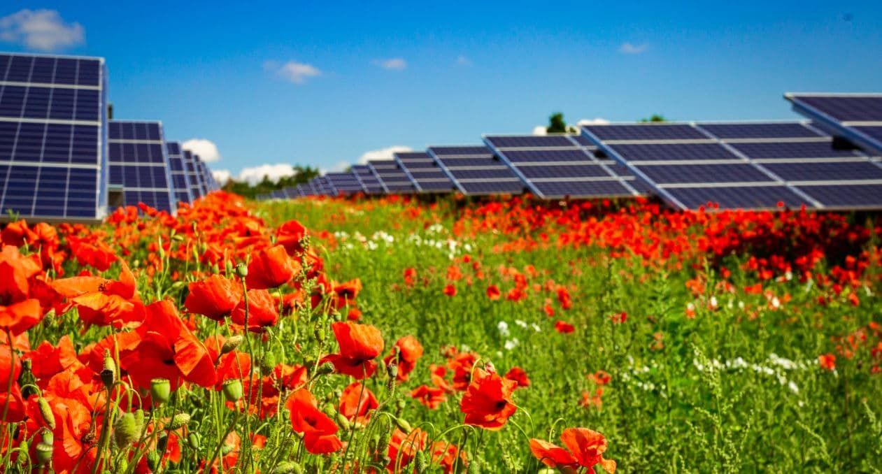 Bringing locals to local projects with crowdfunding