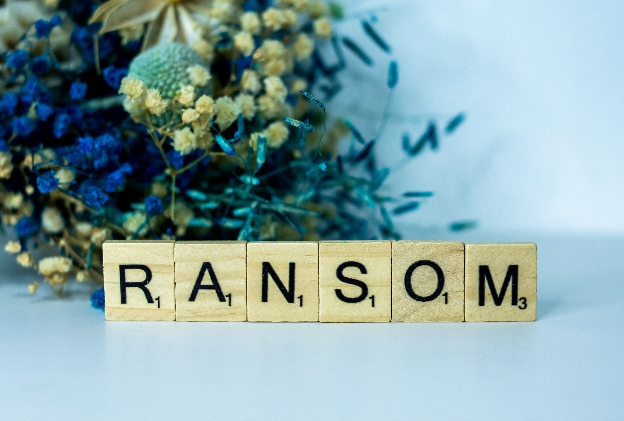 Is cyber crime insurance feeding on itself?