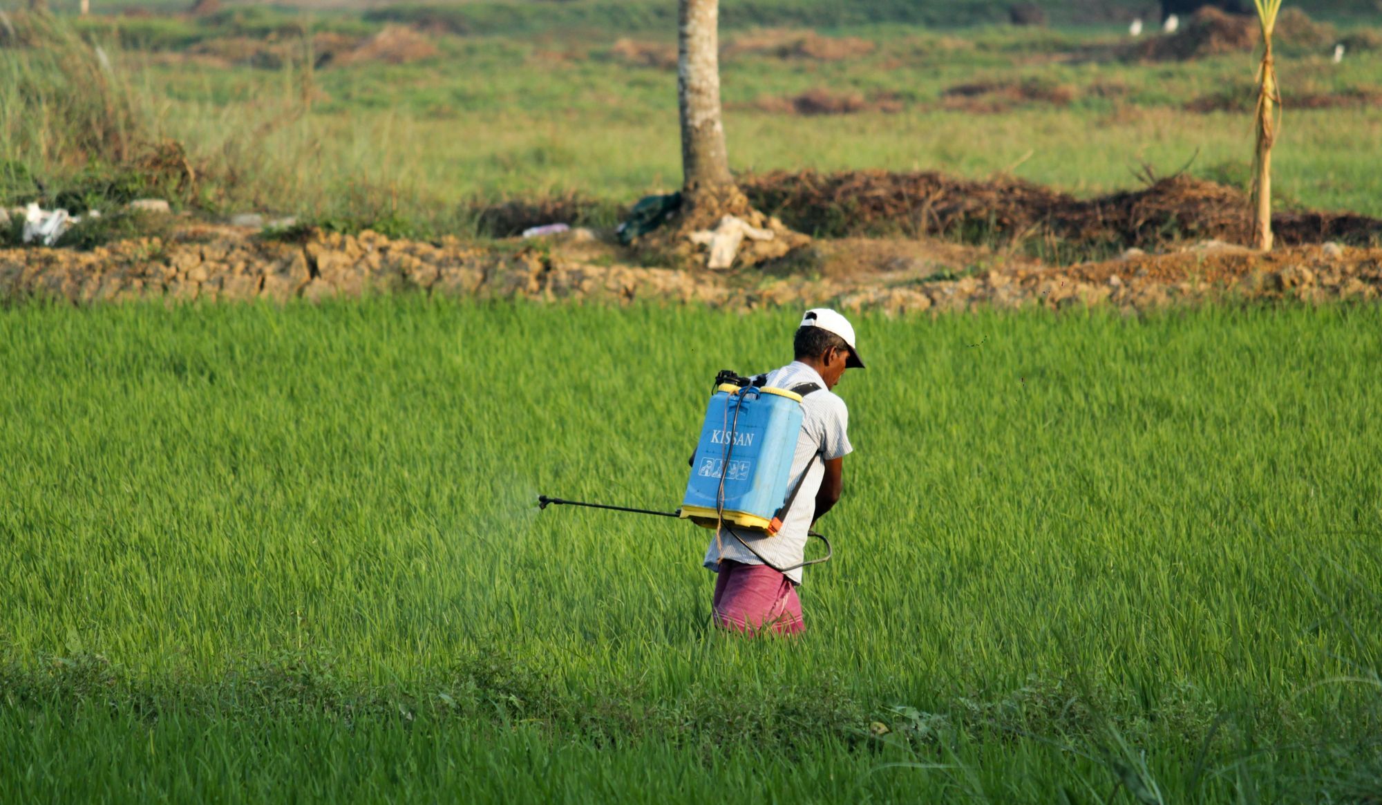 Pesticides and PFAS