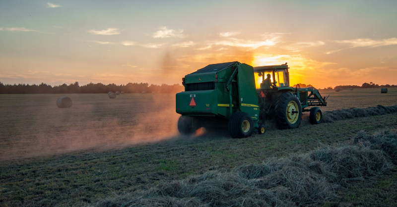 Food price rises - we can do something but ...