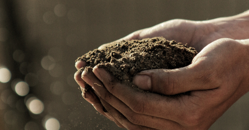 Healthy soil elsewhere drives our economy.