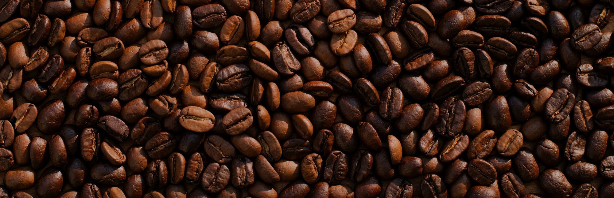 Making money from coffee waste