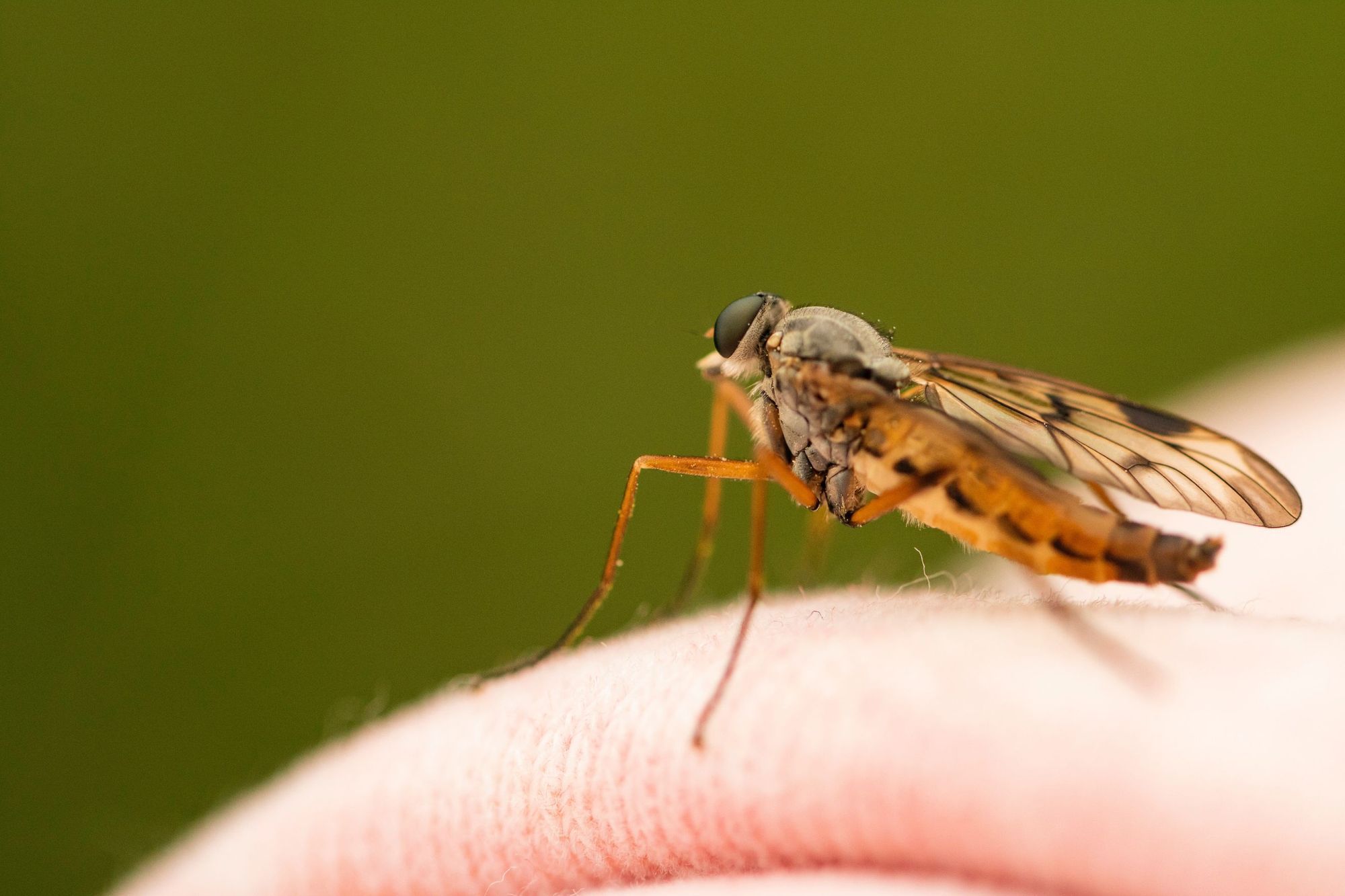 Climate change spreading the impact of infectious diseases.