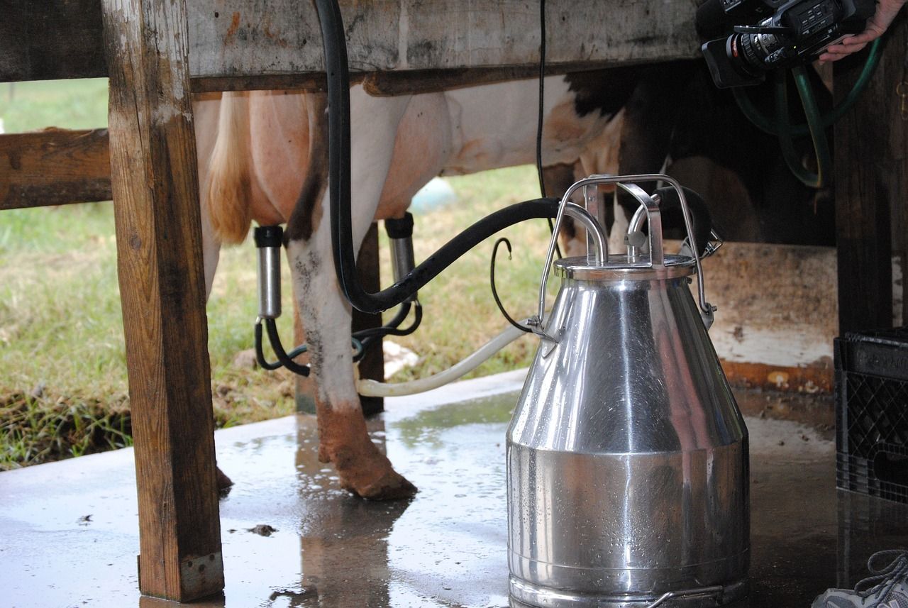 New milk fridges could help farmers cut carbon and costs