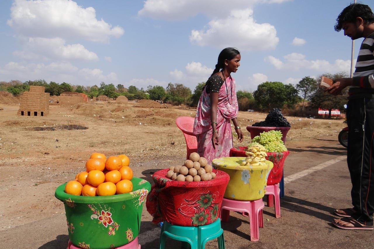 Radical food system overhaul could deliver US$10 trillion per year in benefits