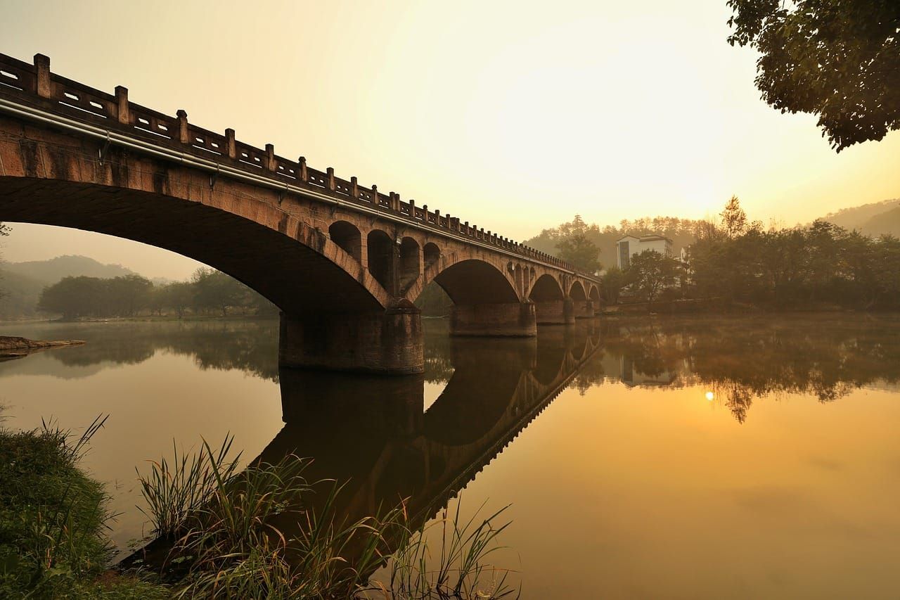 Why The Sustainable Investor?