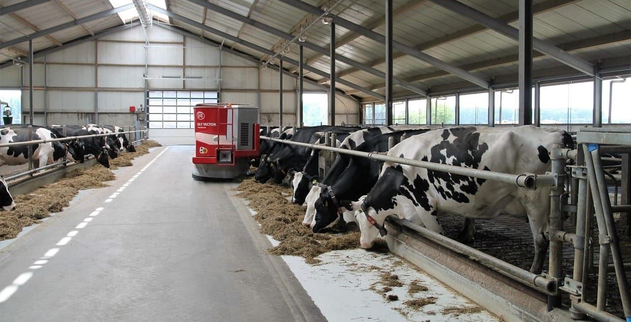 Sunday Brunch: Returning to burbing cows