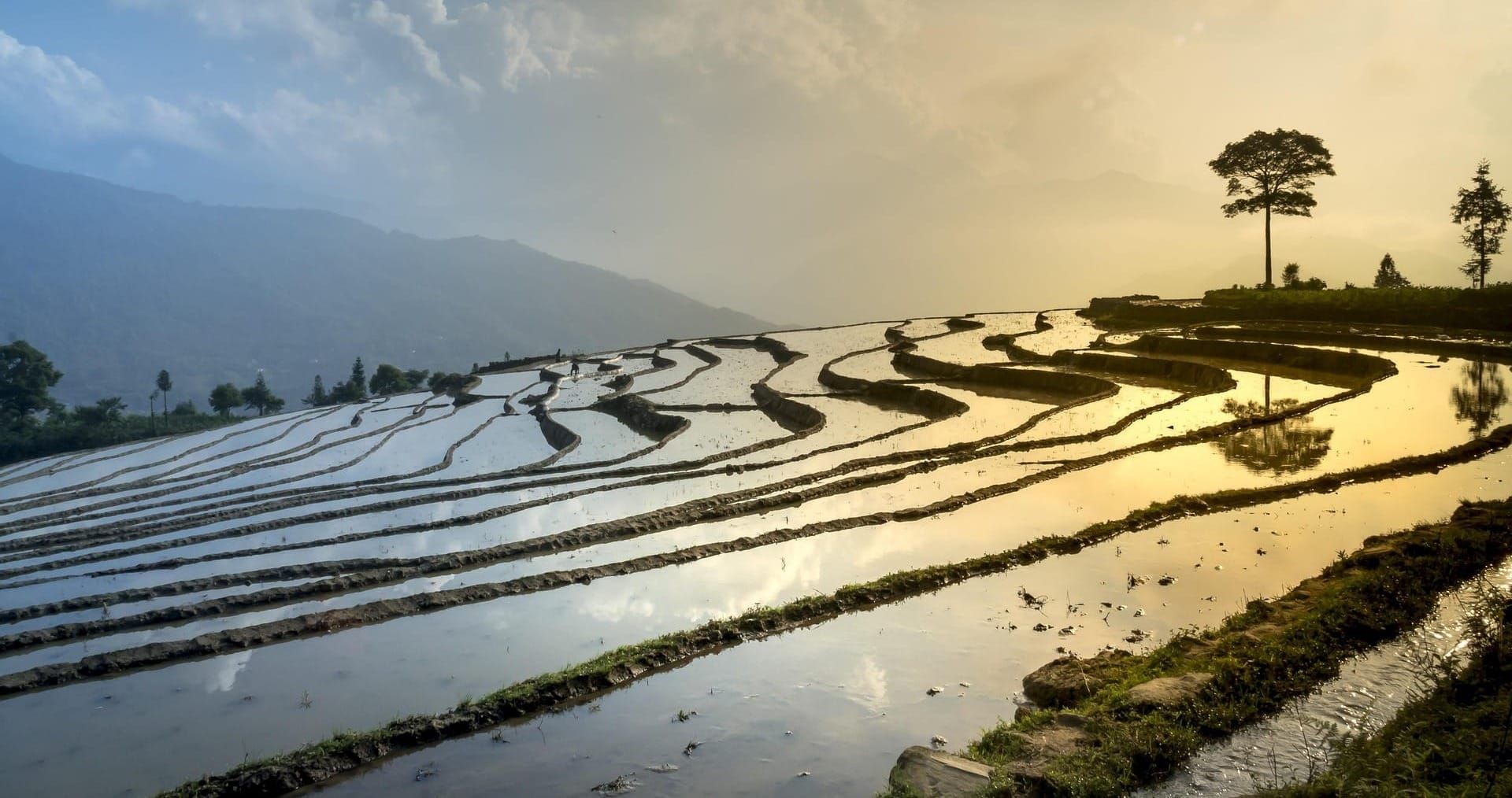 Wednesday Brunch: Rice & GHG emissions