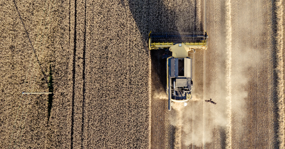 Agriculture/natural capital