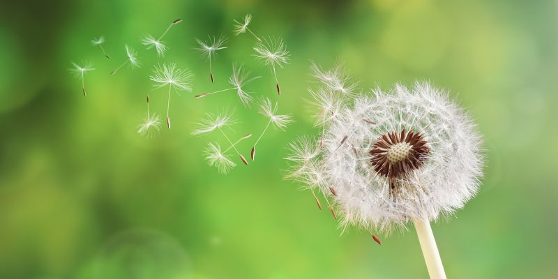 Une inévitable stagnation séculaire ? image de l'article