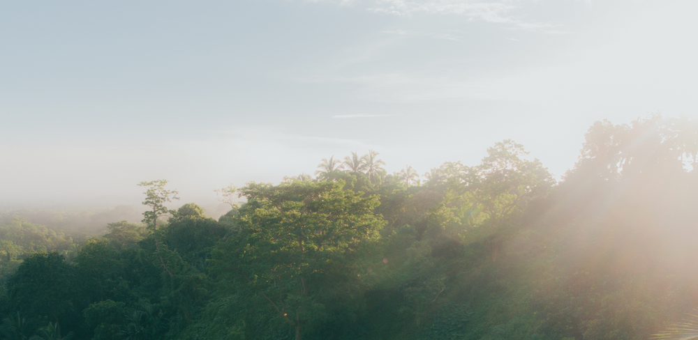 Pourquoi nous avons choisi de ne pas conserver le label ISR image de l'article