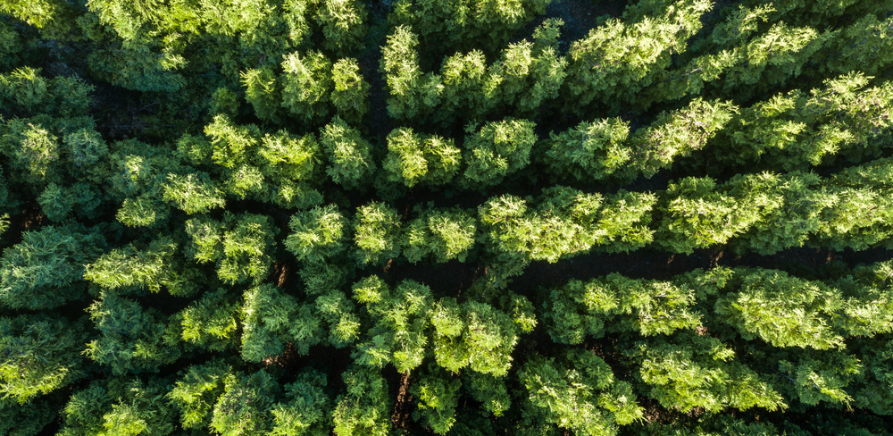 Comprendre les engagements climatiques de l’Europe. image de l'article
