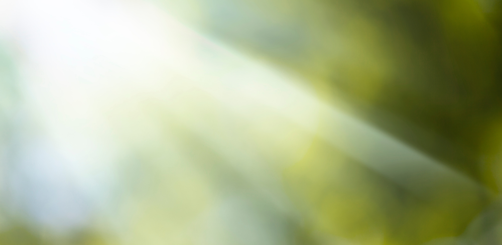 Comment les critères extra-financiers influencent la pondération sectorielle des indices ESG ? image de l'article