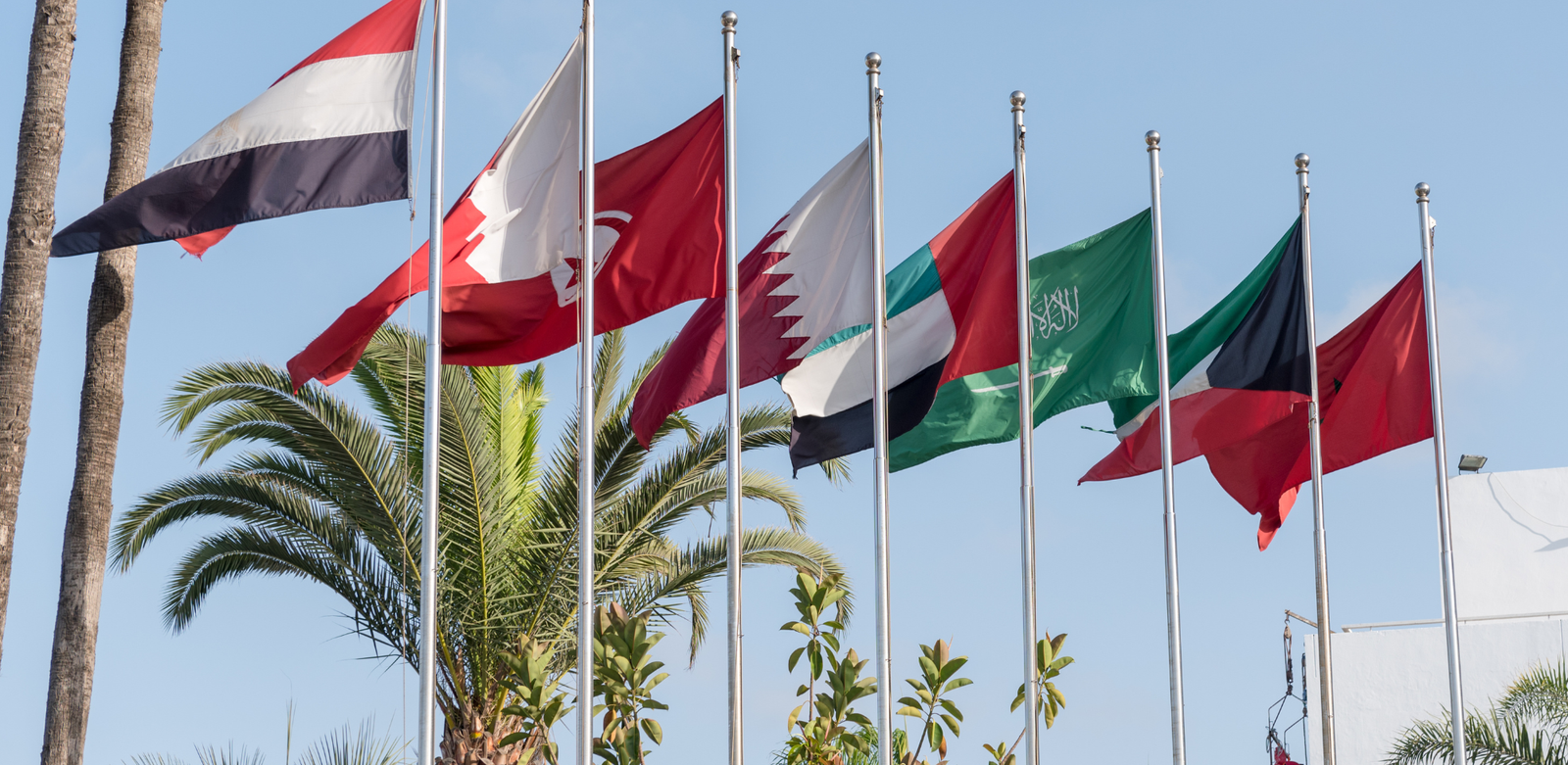 Perspectives & actualités : 09 au 13 juin 2025