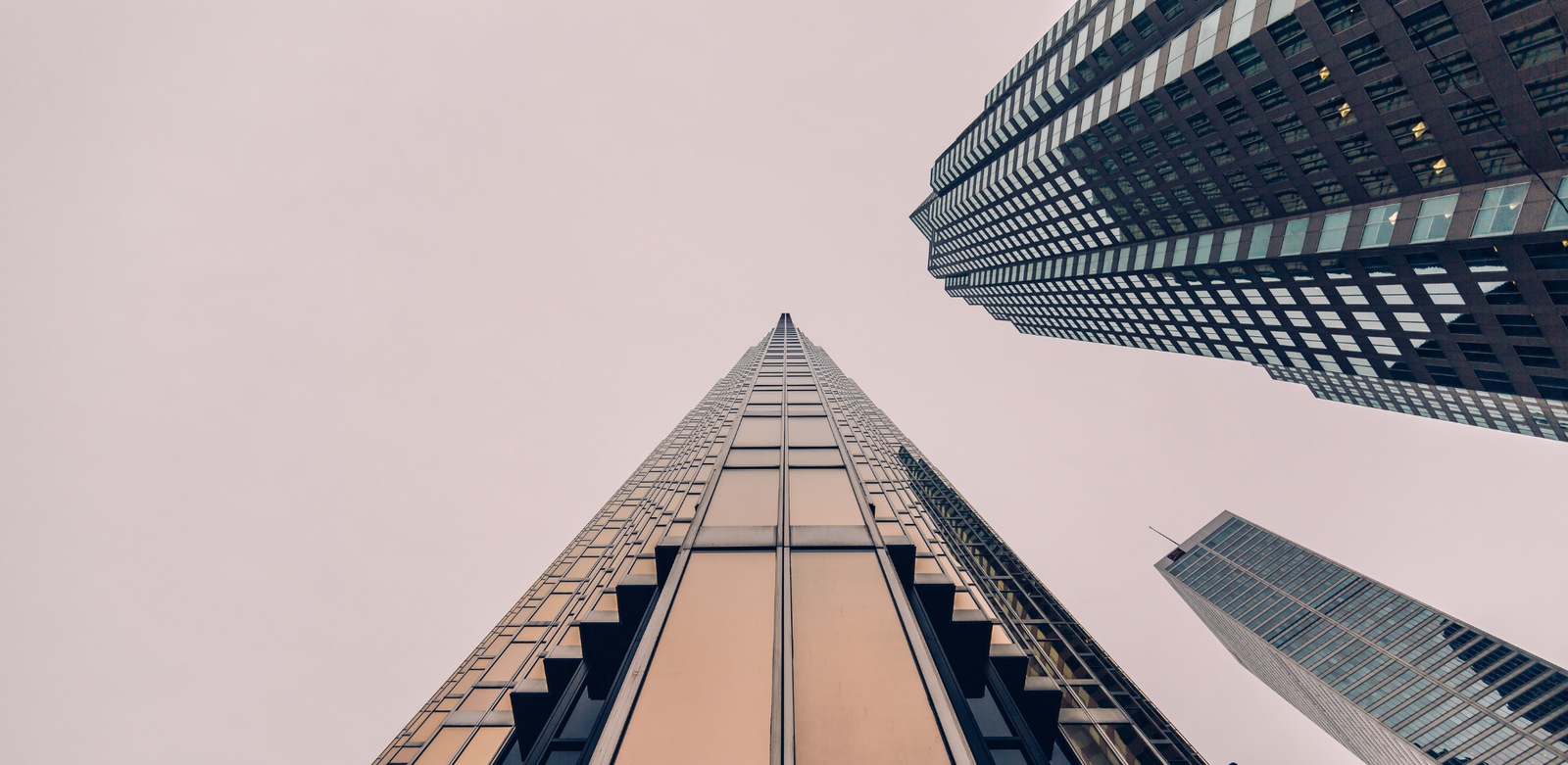 Perspectives & actualités : 25 au 29 août 2025