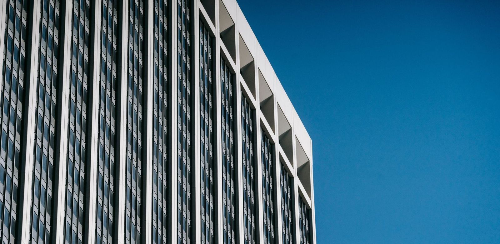 Perspectives & actualités : 17 au 21 novembre 2025