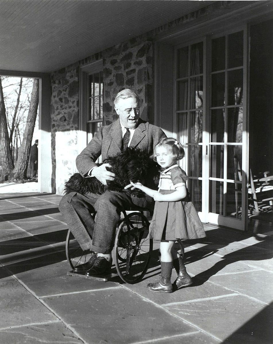 Franklin D. Roosevelt, en costume, assis dans un fauteuil roulant sur la terrasse dallée d'un porche couvert, tient un Scottish Terrier noir sur ses genoux. Une petite fille debout à ses côtés caresse le chien.