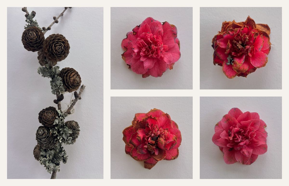 Fallen Blooms
