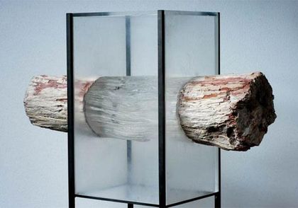 Amazing materials: Transparent Wood
