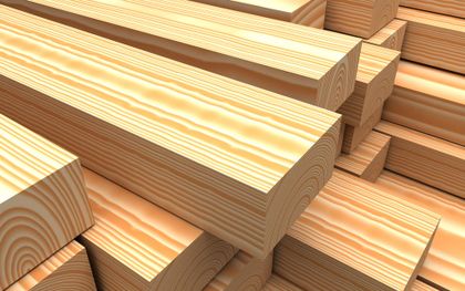 Density of wood in kg/m3, g/cm3, lb/ft3 - the ultimate guide
