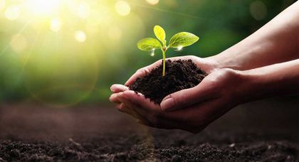 Sustainability Quantified: Key Environmental Indicators in Sustainable Material Selection