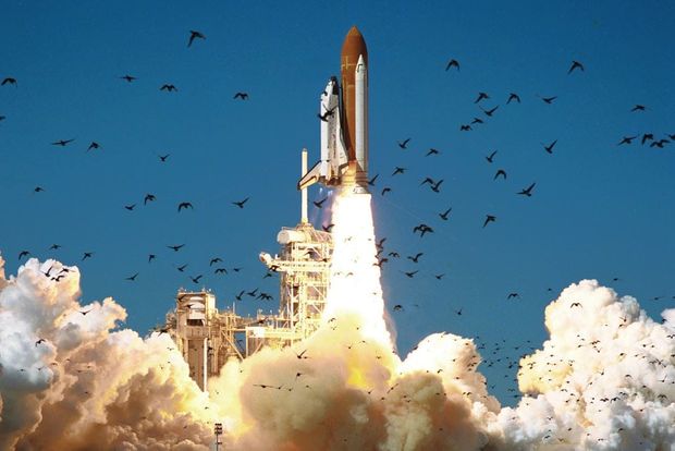 Engineering Disasters: Space Shuttle Challenger (1986)
