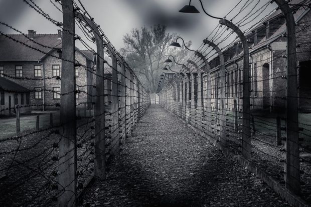The Engineering of DEATH. How the Nazis killed on an industrial scale.