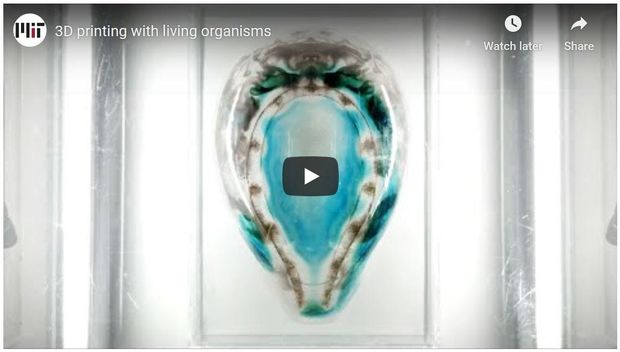 Video of the Day: Integrating Genetic Engineering with 3D Printing