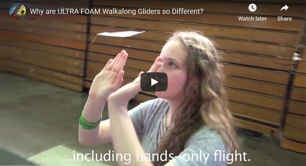 Video of the Day: Walkalong Glider - Controllable Slope Soaring in action