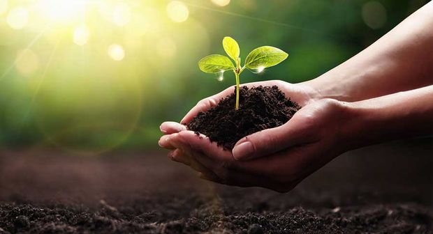Sustainability Quantified: Key Environmental Indicators in Sustainable Material Selection