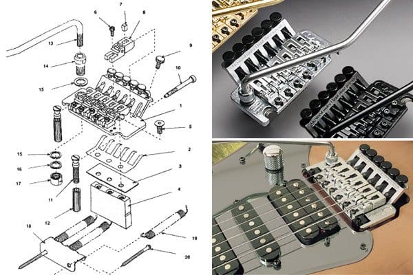 floydrose