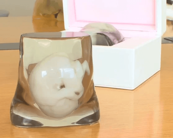 weird 3D printing - a foetus