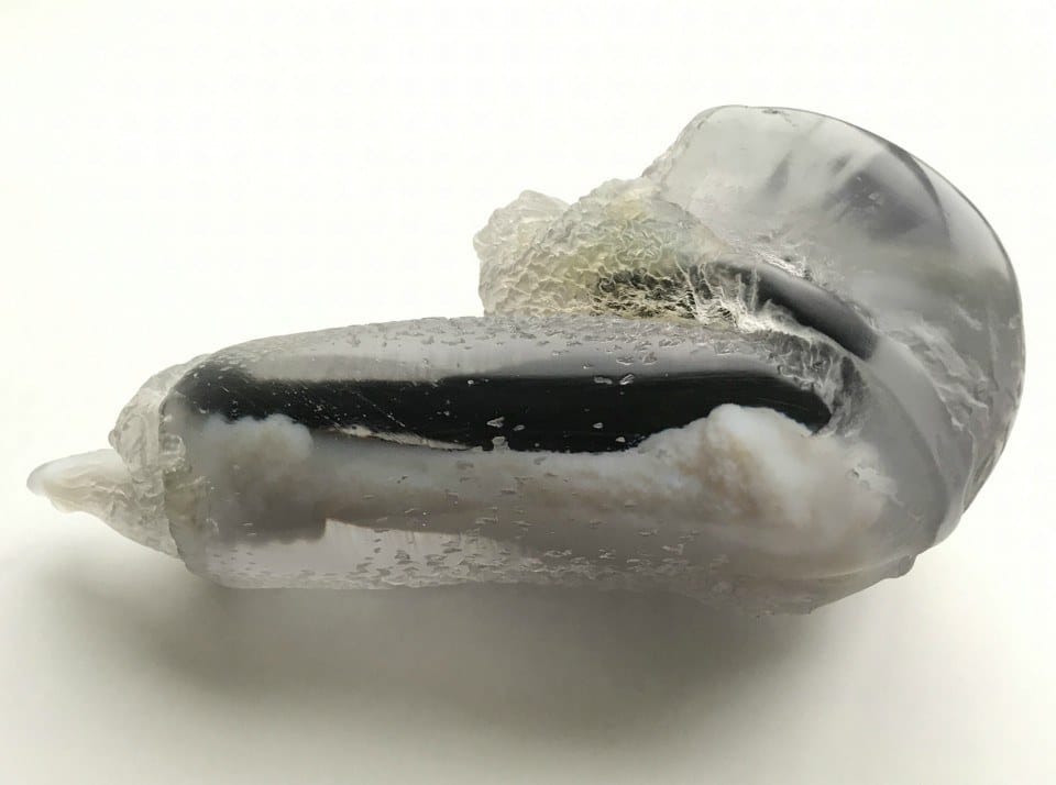 3D Printed Mouse Parts: Photo Credit Martin Cohn