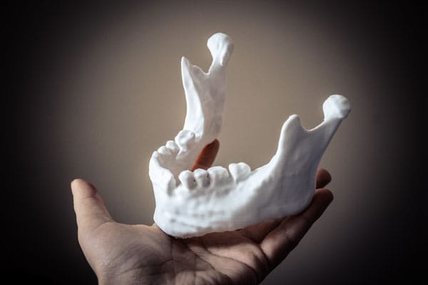 3D printed mandible