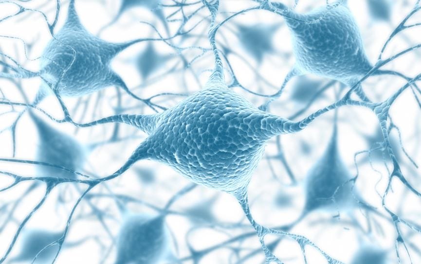 biomaterials - the basics