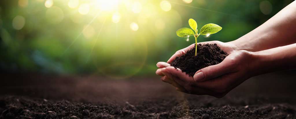 Sustainability is increasingly becoming a central aspect of our world, particularly within the materials industry. An image of a tree being planted.
