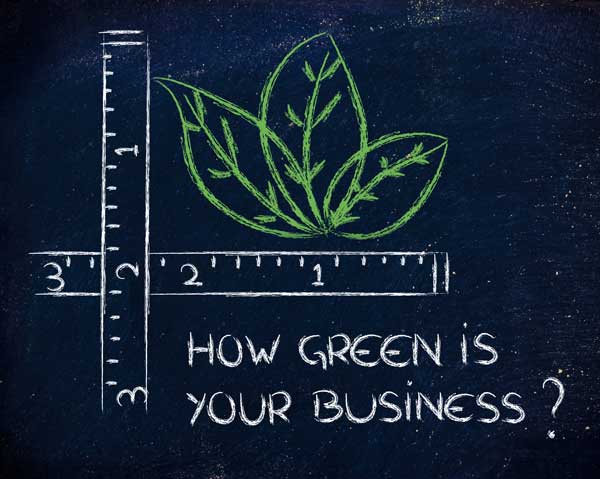 how green is your business written on the blackboard