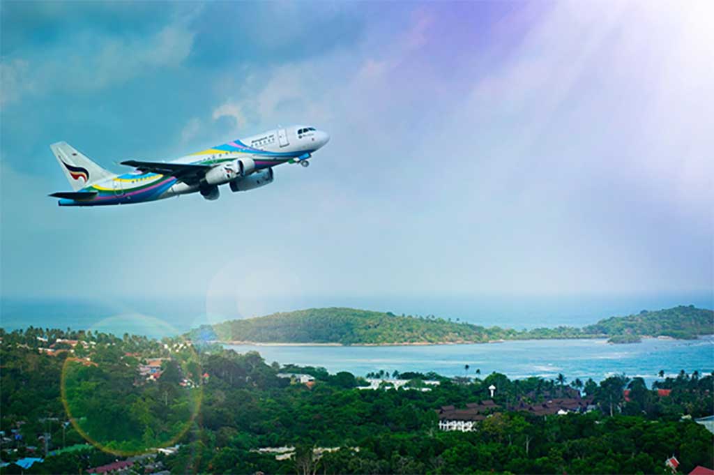 Carbon-Neutral Flight, Is It Possible? Aeroplane in the sky image.