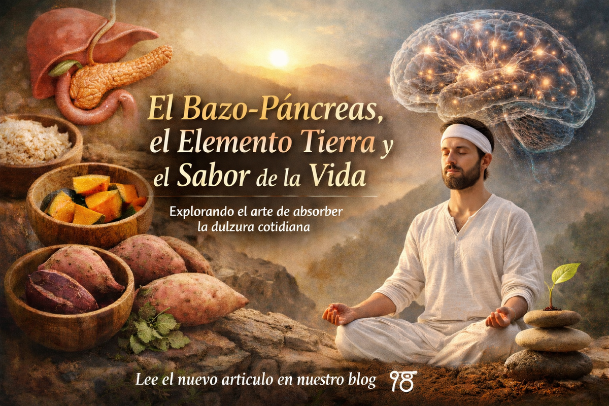 ¿Qué hace el páncreas con la dulzura de tu vida?