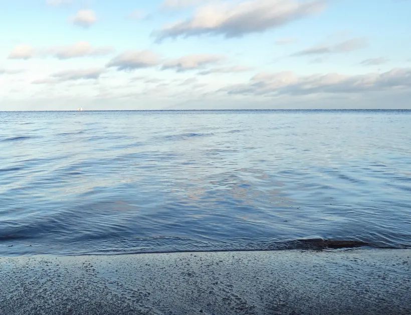 Householders With the Power to Polish the Bright Mirror (EK 8.14.4)