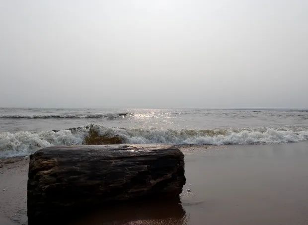 Old Log Series