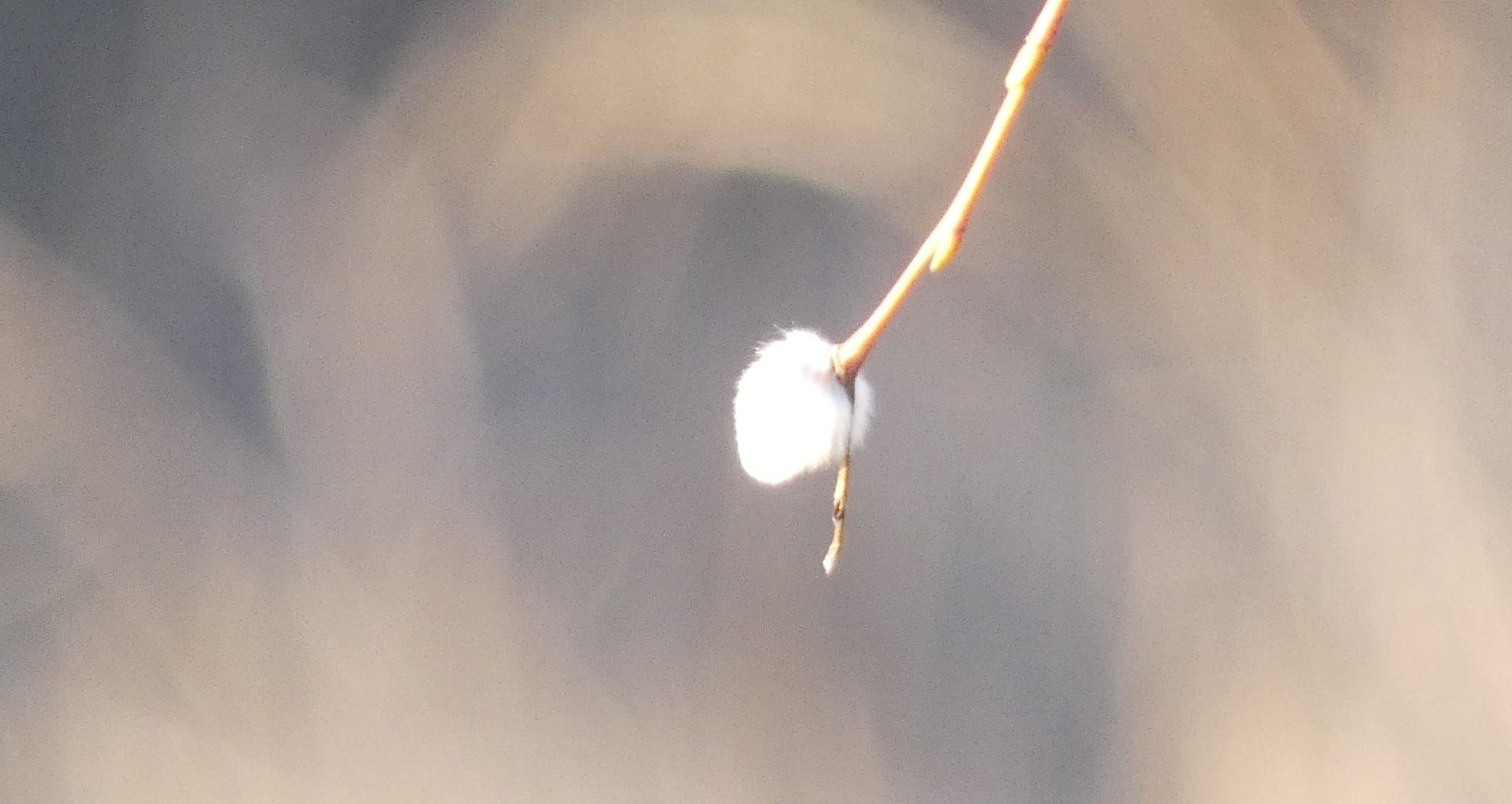 The Key Barrier to Practicing Awakening