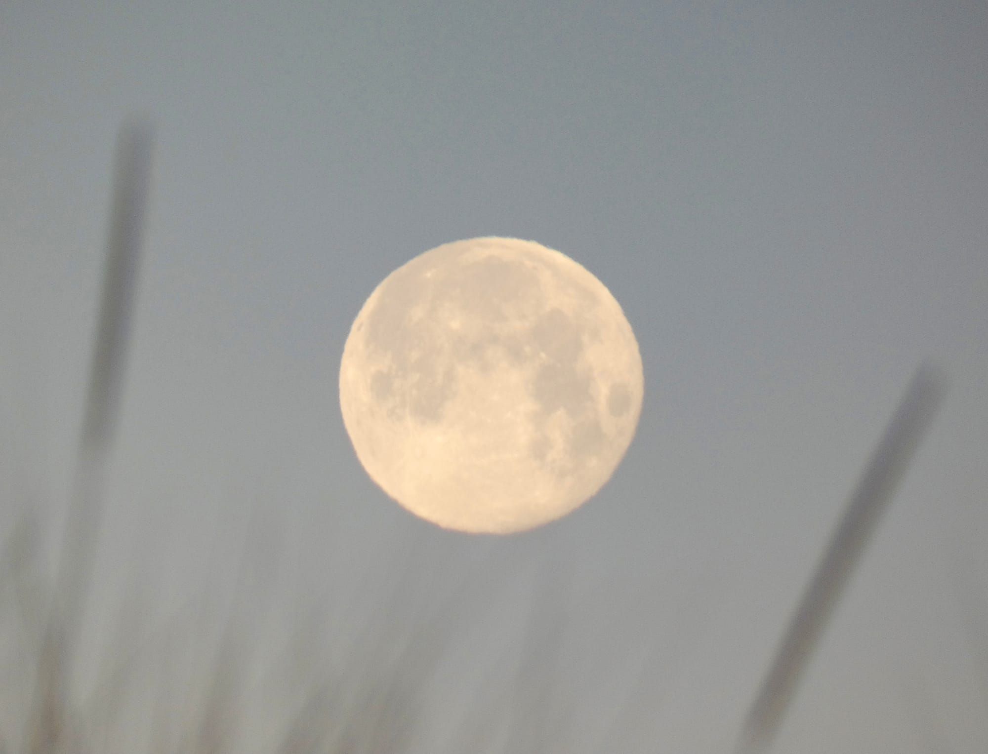 The Oh-So-Subtle Point of Zen and Its Significance