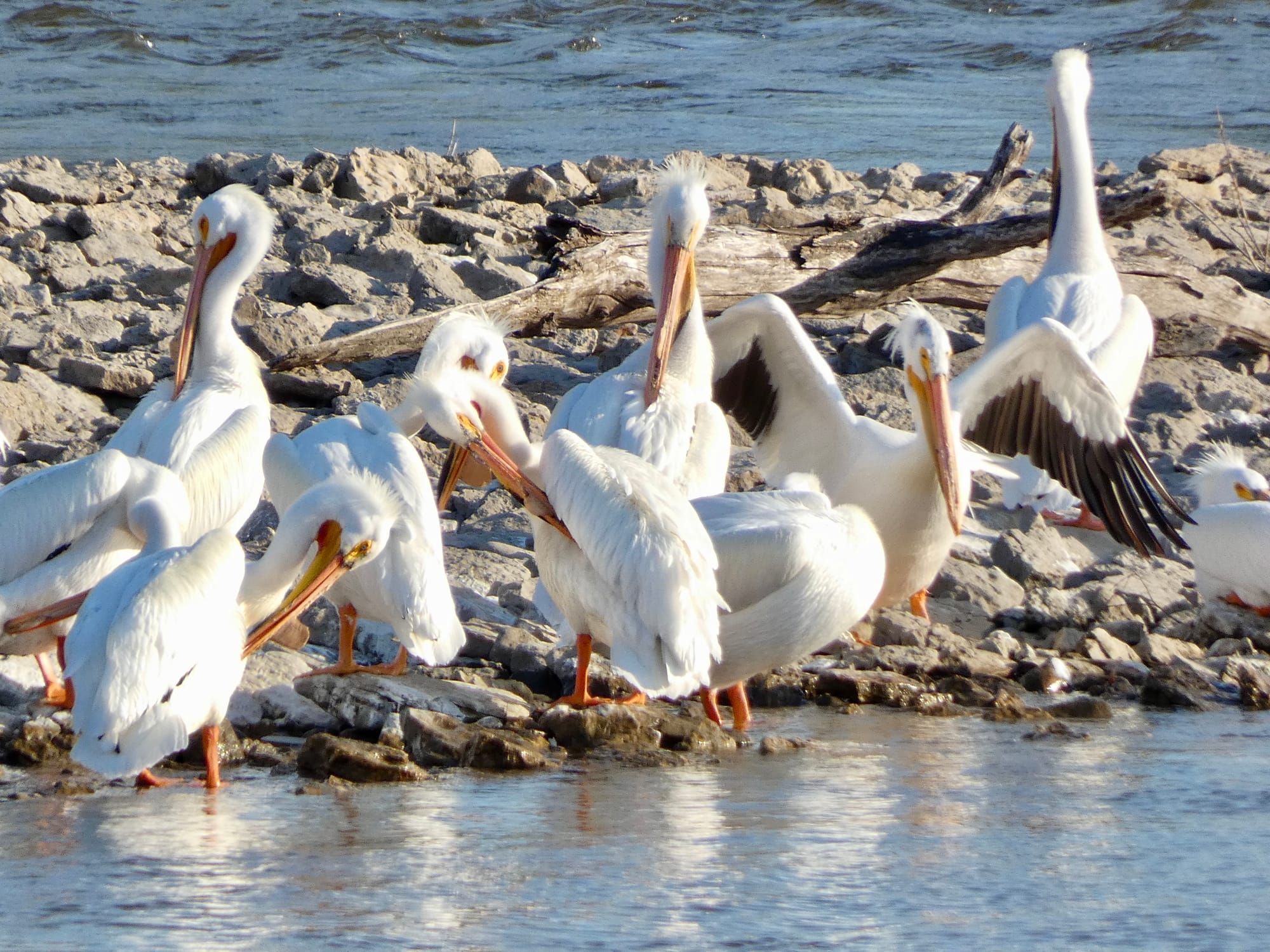 "Dongshan's Three Lingering Contaminations" in Post-Awakening Training