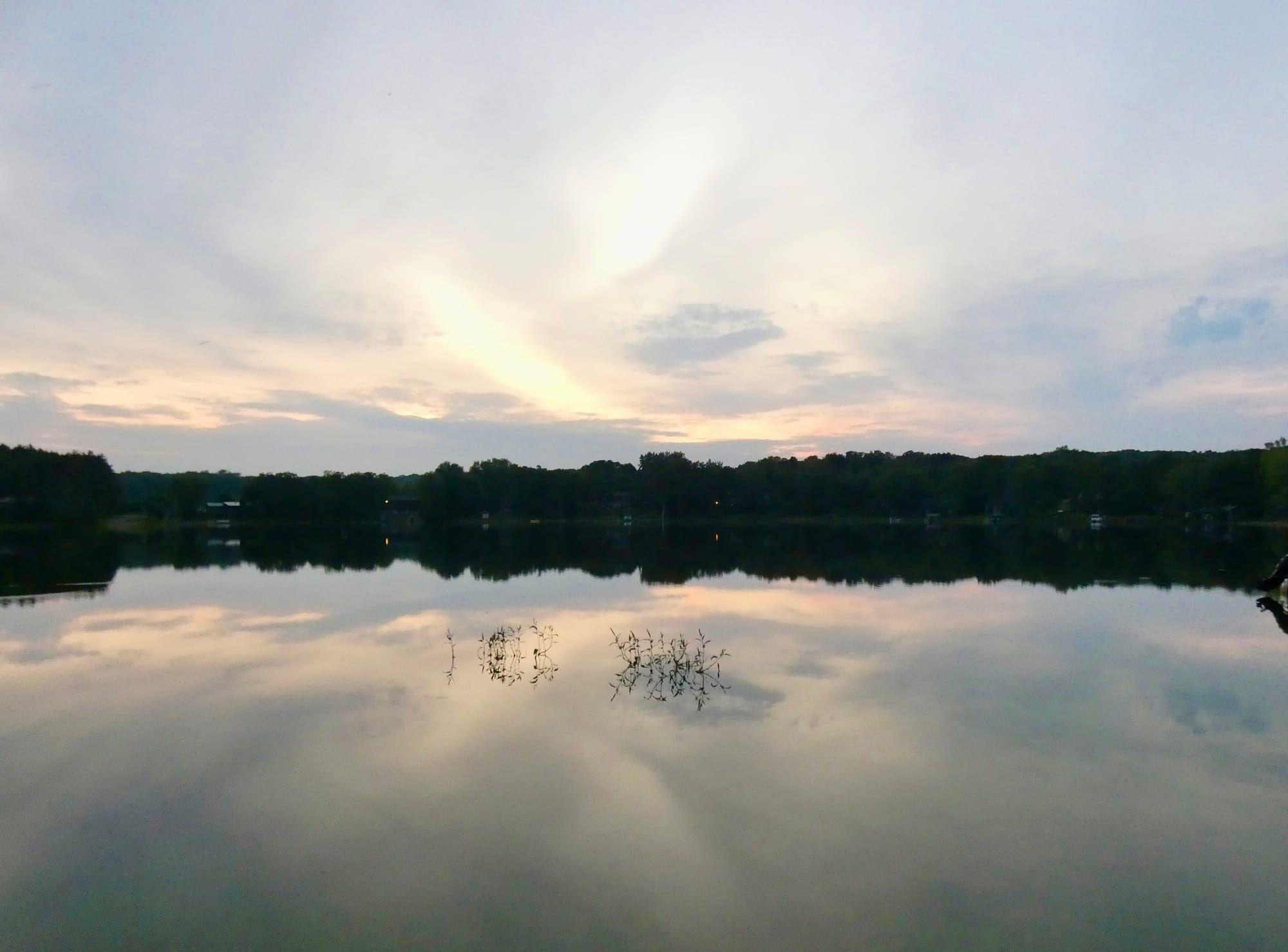 Dahui On "Being Immediately Reborn in a Buddha Land"