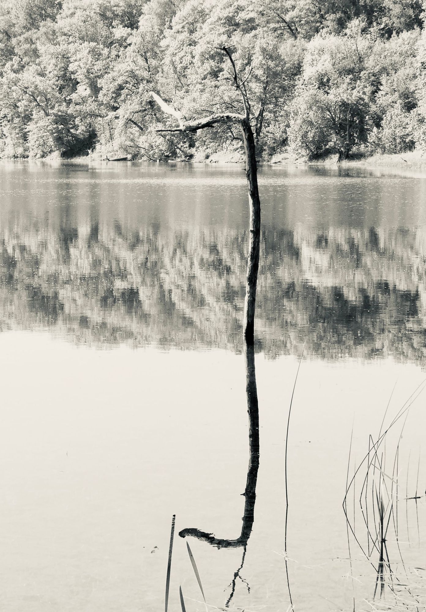 Polishing a Tile to Make Four Subtle Wisdom Buddhas